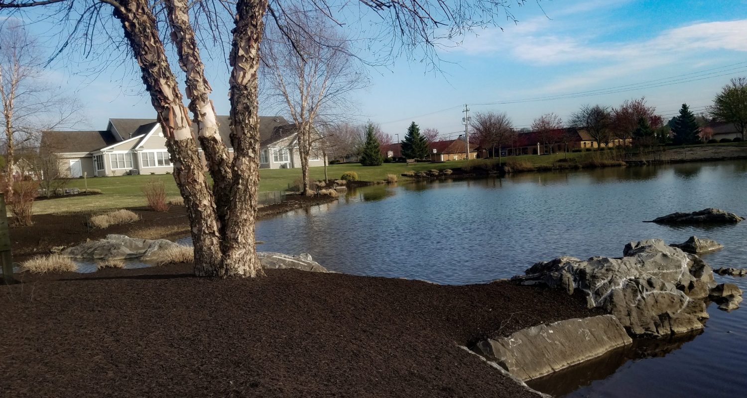 Mulch -6